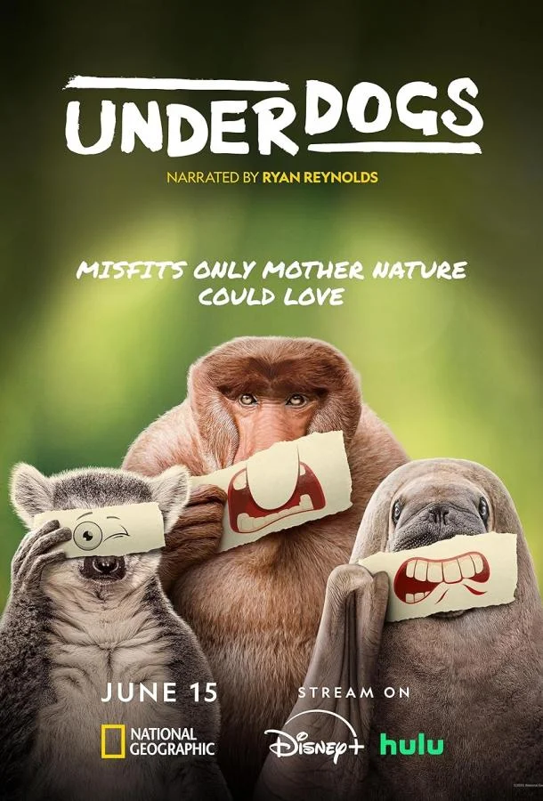 Аутсайдеры